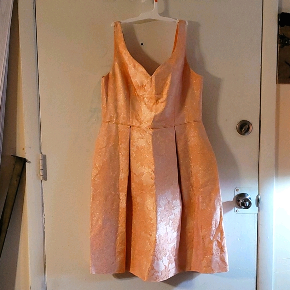 Ladies Dress
